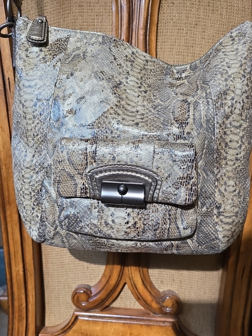 Coach Snake-Print Hobo Bag in Gray and Brown